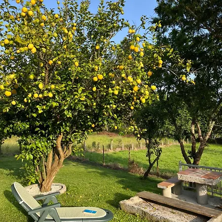 Casa Marina Holiday home *